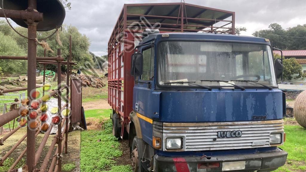 FIAT 115 17 (Categoria: Camion ribaltabili e fissi)