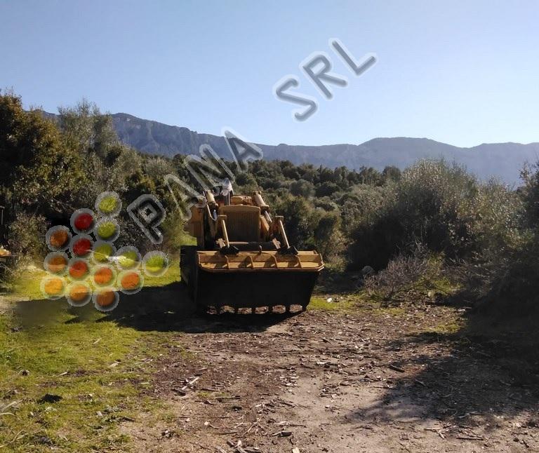 CATERPILLAR 955 K (Categoria: Pale cingolate)