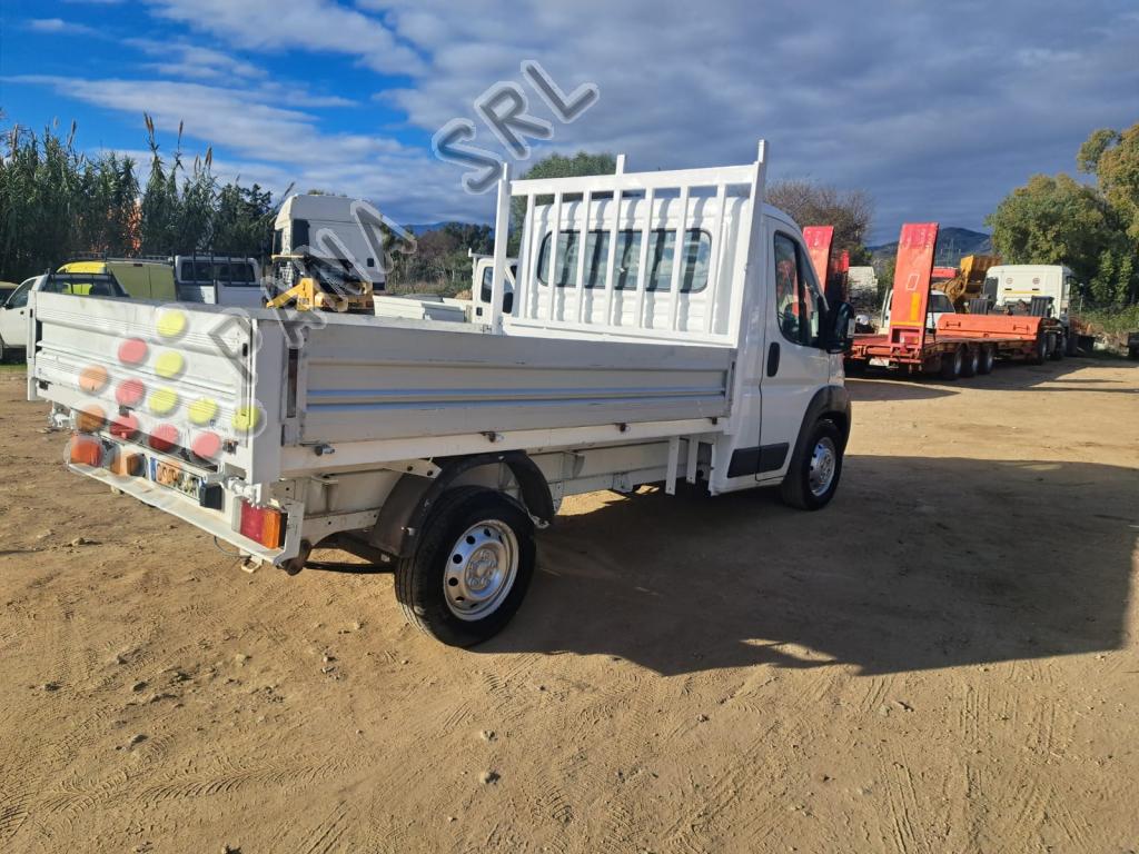 FIAT DUCATO 250DCMAB (Categoria: Camion ribaltabili e fissi)